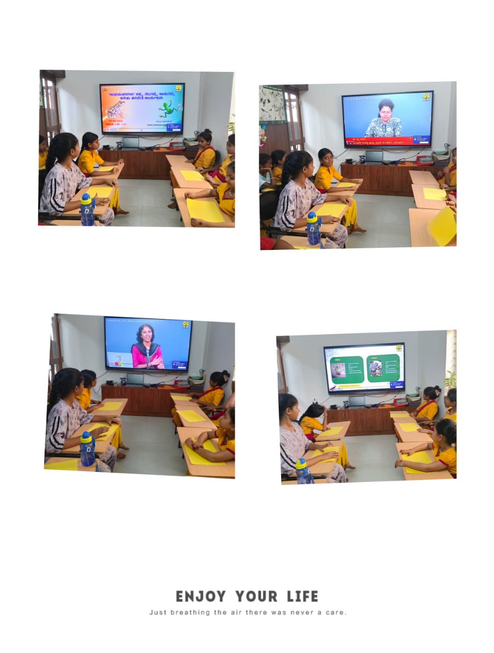 ಯೌಟ್ಯೂಬ್ ಕಾರ್ಯಕ್ರಮ. ಕಪ್ಪೆಗಳ. ಬಗ್ಗೆ